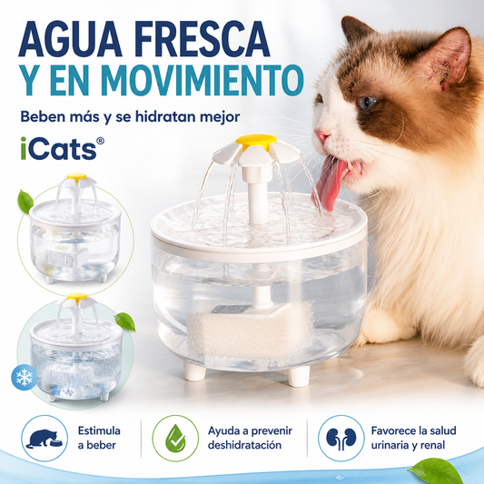 Fuente Bebedero para gatos iCats®