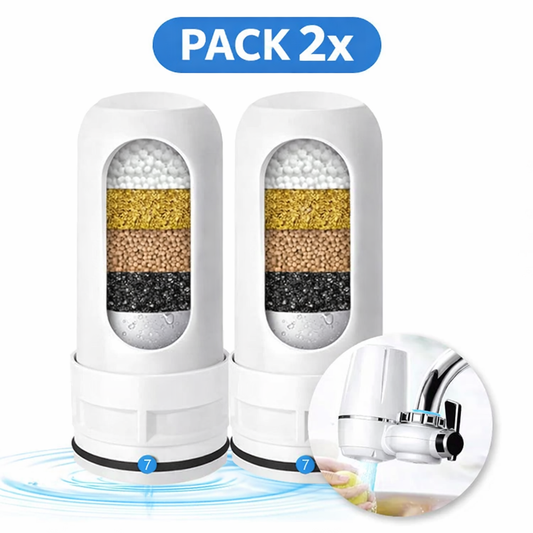 Pack 2x Recambio filtro universal